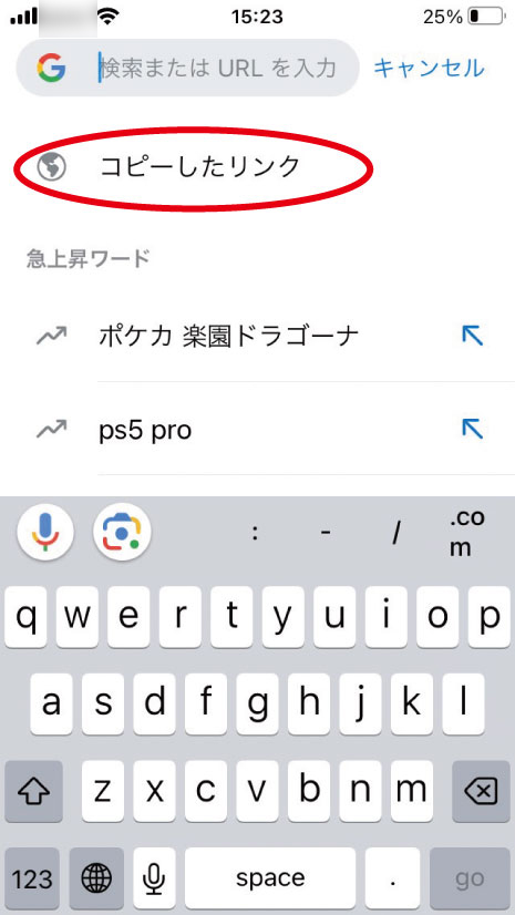 ブラウザへの貼り付け2